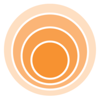 Touchpoint Orange Circle Icon